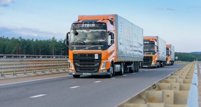 About TELS GLOBAL: what services it provides and why it is worth cooperating with it