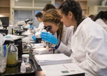 Перелік послуг, які надає компанія Наука Сервіс: що потрібно знати