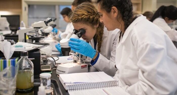 Перелік послуг, які надає компанія Наука Сервіс: що потрібно знати