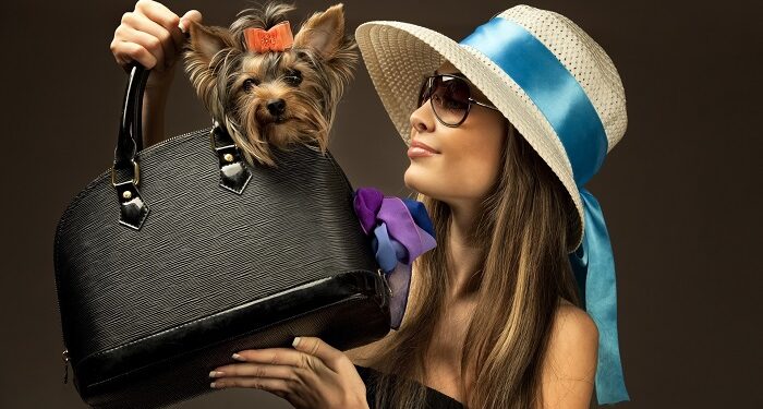 How to choose handbags from luxury brands: basic criteria