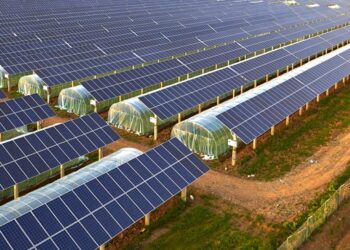 Солнечные батареи для предприятий: почему это выгодно