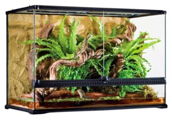 Комплексне обладнання тераріумів: вибір наповнювачів та аксесуарів для здоров’я рептилій