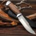 Як обрати ніж охотнічий: правила та поради, критерії вибору