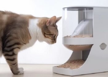 Ідеальний розпорядок харчування: все про автоматичні годівниці для котів