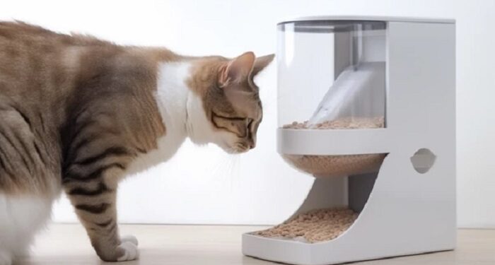 Ідеальний розпорядок харчування: все про автоматичні годівниці для котів