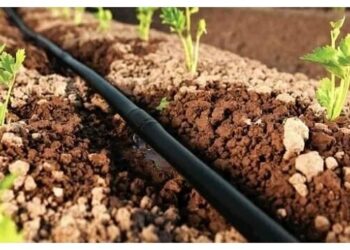 Як обрати крапельну стрічку для піщаного ґрунту