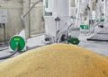 Комбікормовий завод — інвестиція у стабільність і прибутковість господарства