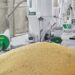 Комбікормовий завод — інвестиція у стабільність і прибутковість господарства