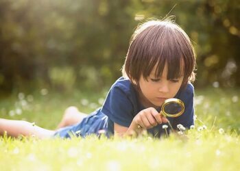 Why curiosity is the most valuable skill in 2025