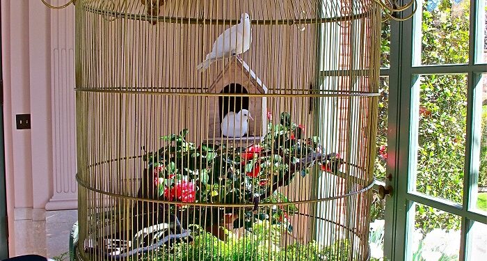 Обустраиваем клетку для птиц